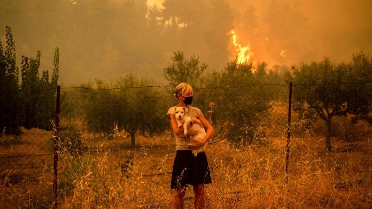 希臘火災，當地明愛會表示「需要國際援助」