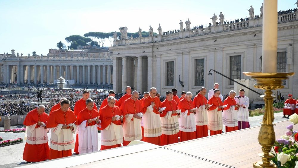 教宗擢升新樞機：成為體現教會同道偕行的交響樂